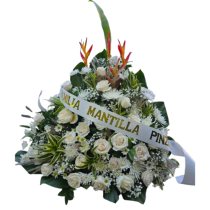 Fúnebre # MN60