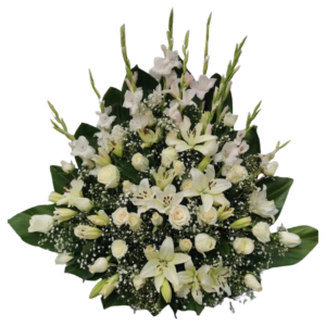 Fúnebre # MN48