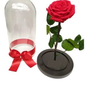 Rosas eternas MN